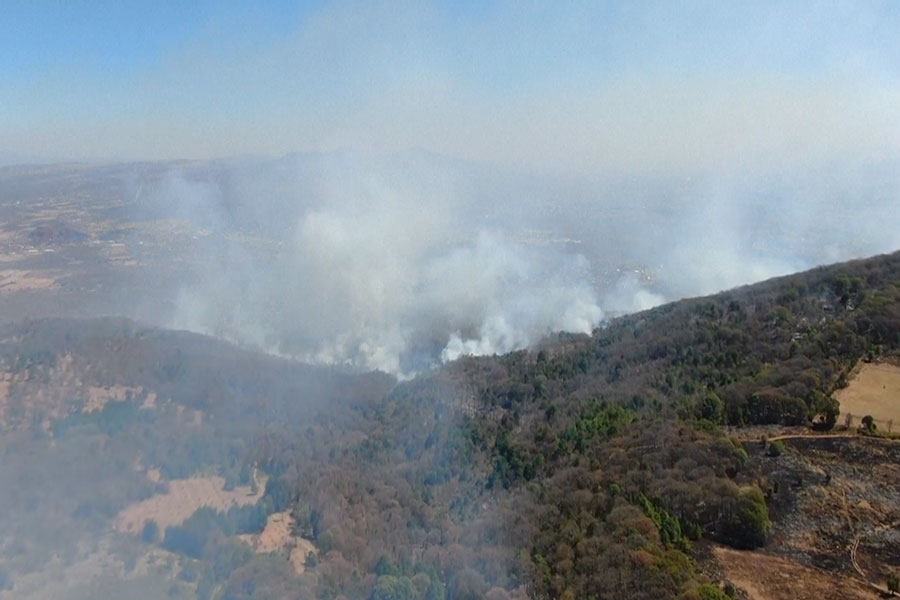 México: incendios forestales arrasan más de 3 mil hectáreas de zonas boscosas