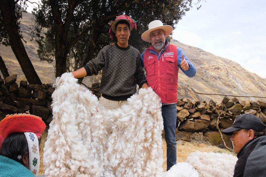 Cusco: con tecnología innovan industria textil de camélidos
