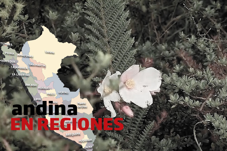 Andina en regiones: buscan la protección de más de 90 mil hectáreas de amazonía en Cusco