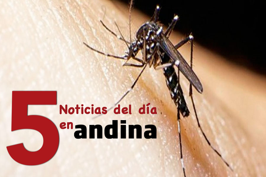 Las 5 del día: prorrogan la emergencia sanitaria por dengue en 19 regiones y el Callao