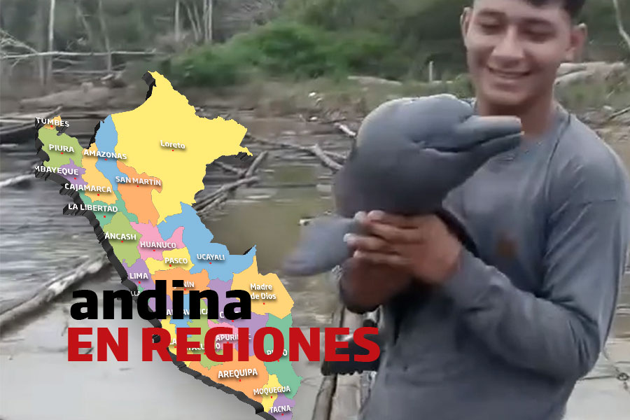 Andina en Regiones: pobladores de Iquitos rescatan a delfín bebé atrapado en palizadas