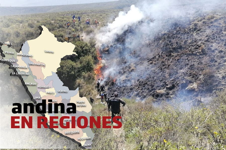 Andina en Regiones: registran incendio forestal en La Unión, Arequipa