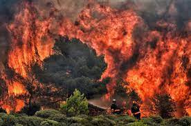 Grecia lucha contra los incendios forestales en medio de fuertes vientos