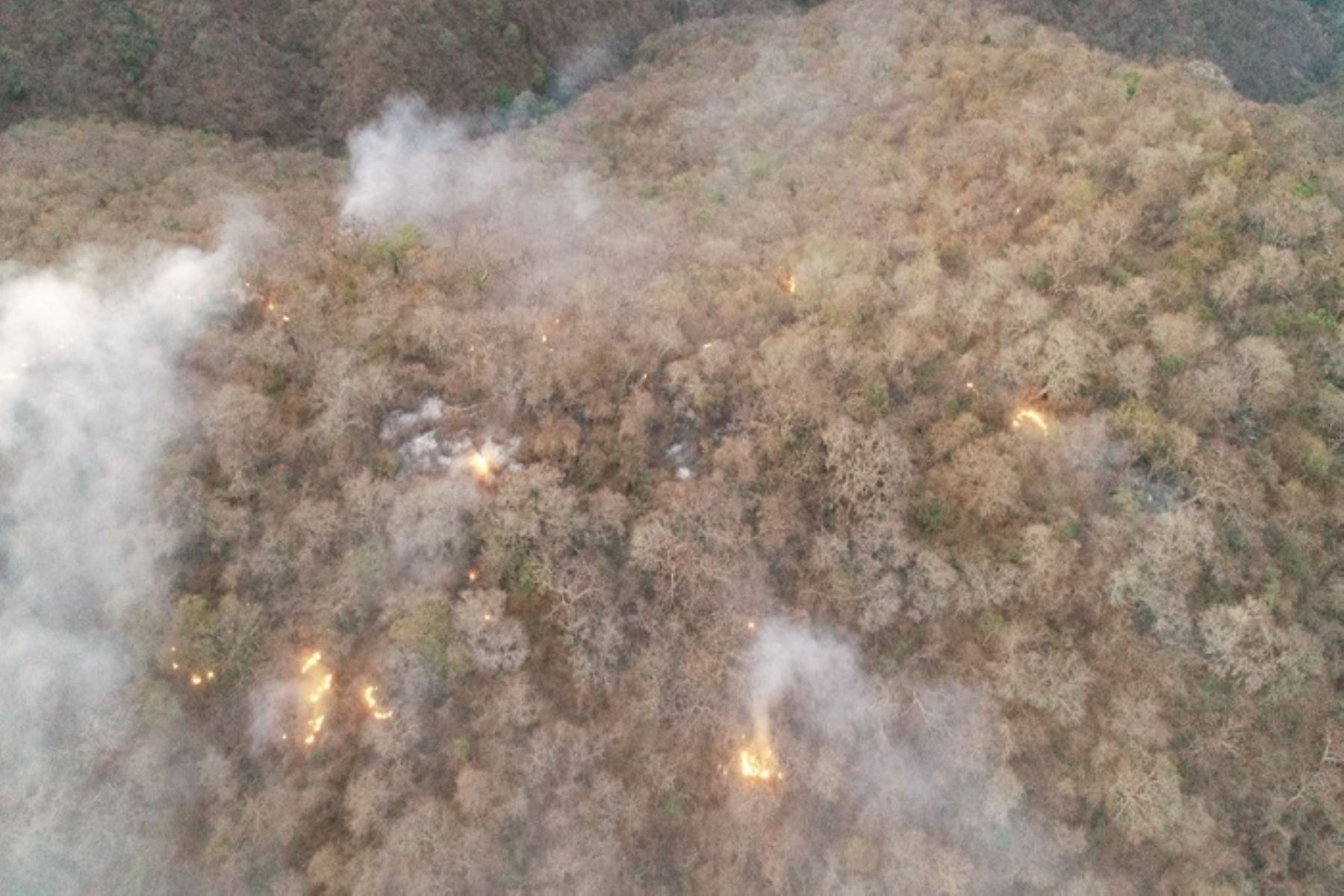 Andina en regiones: FAP arroja 5 mil litros de agua para sofocar incendio forestal enTumbes