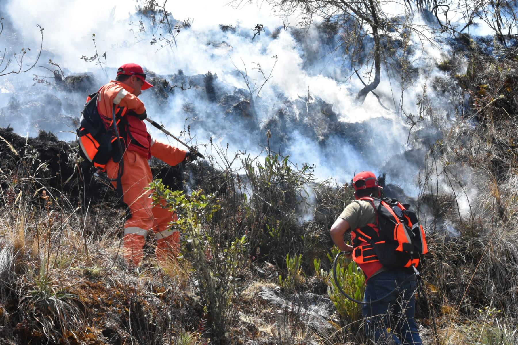 Bomberos luchan contra el fuego encarnizado en Brasilia