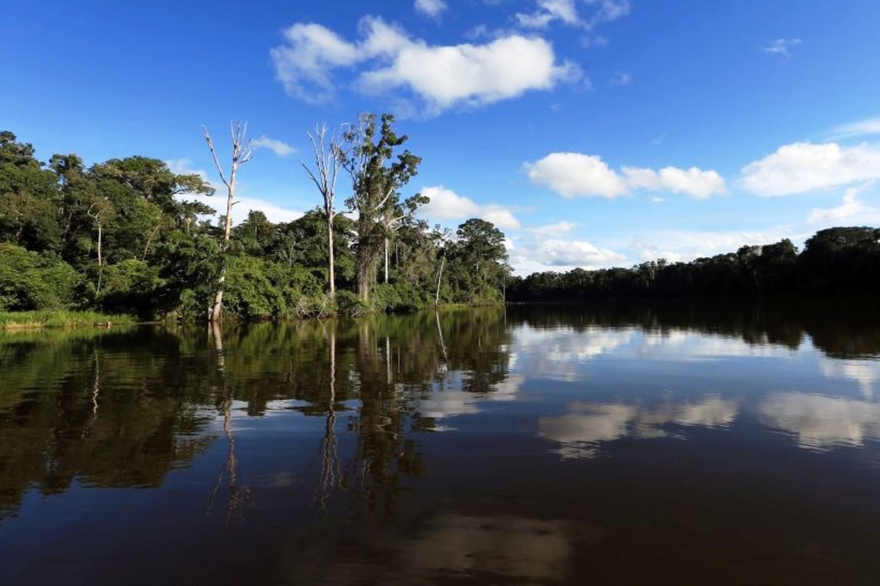 Gran Plan Amazónico impulsará el Gobierno para poner en valor la Amazonía peruana