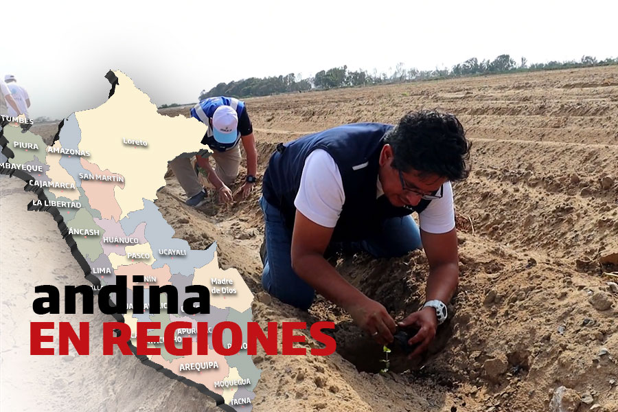 Andina en regiones: inician siembra de 5 mil plantones para reforestar zona El Tablazo en Huanchaco
