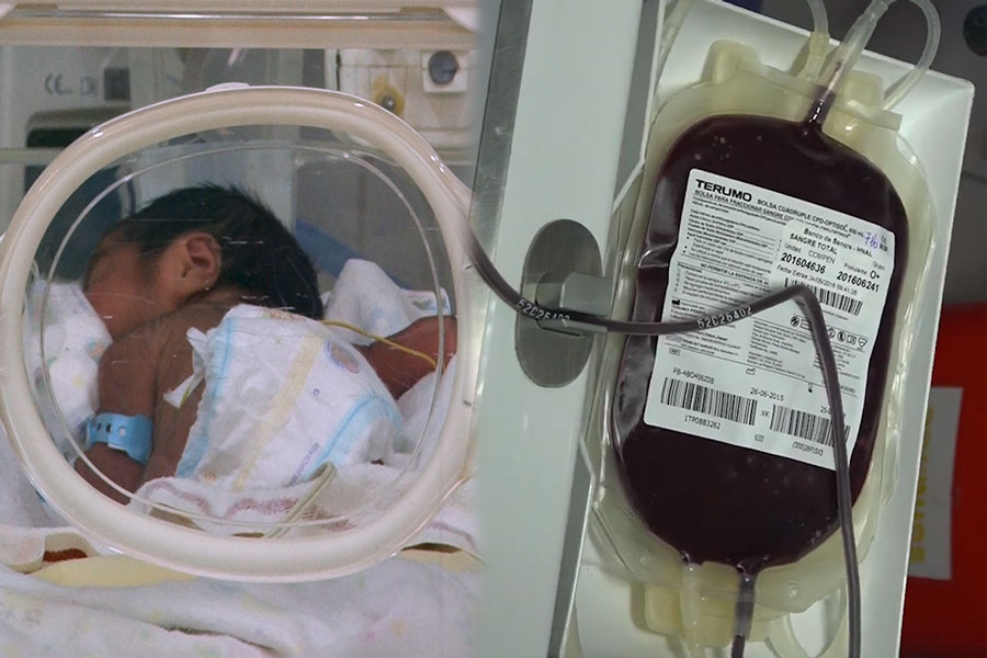 Histórico fallo: los hijos no son propiedad y la vida está por encima de la religión