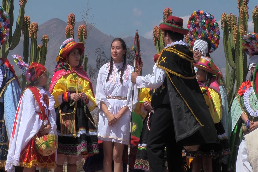 Video Andina