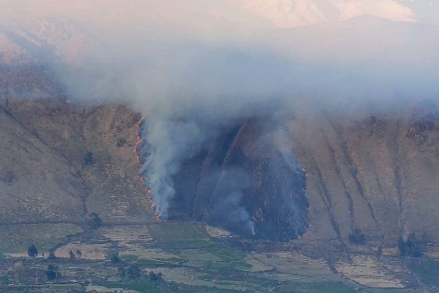 Andina en regiones: incendio forestal en Pampacolca afecta vegetación de la zona en Arequipa