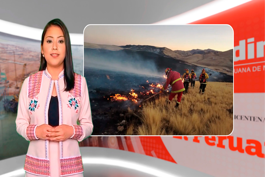 Video Andina