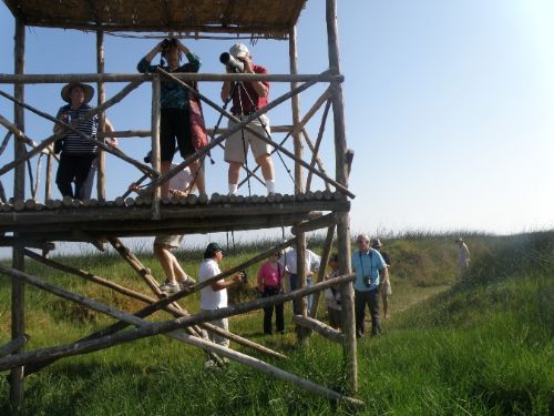 Los turistas que visitan el Santuario Nacional Lagunas de Mejía podrán disfrutar de su viaje.