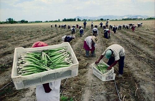 Se financiarán planes de negocios para instalar plantas procesadoras en La Libertad.