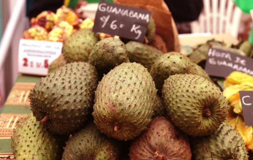 Superalimentos peruanos infaltables en la dieta escolar.