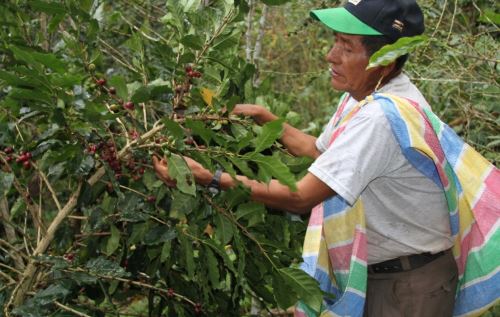 Se impulsarán proyectos de desarrollo con comunidades indígenas de la Selva Central.