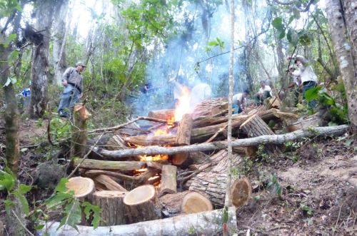 La deforestación es una de las principales amenazas de la Amazonía.