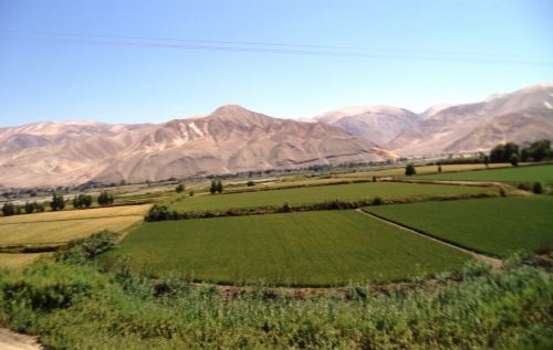 El valle de Tambo, en Arequipa, se beneficiaría con este proyecto hídrico.