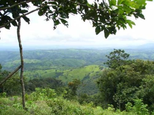 Parque Nacional Cerros de Amotape abarca territorios de Tumbes y Piura.